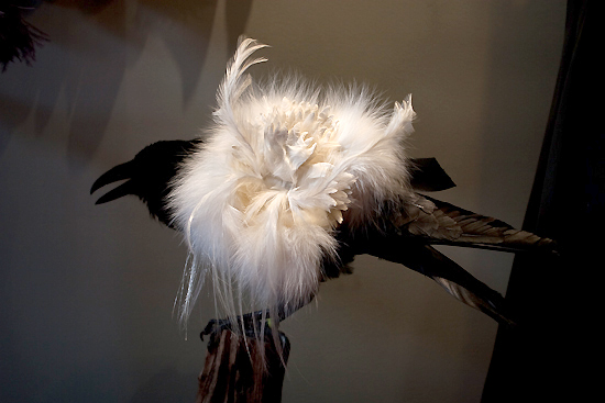 monsieur-jean-yves-3 monsieur-jean-yves-3