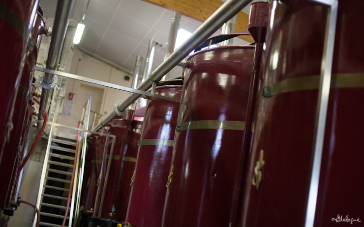 remy-martin-cognac-13