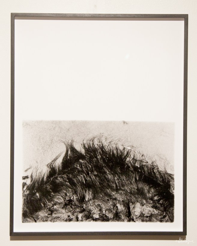 galerie-experimntl-1