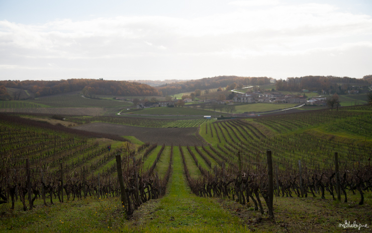 remy-martin-cognac-6