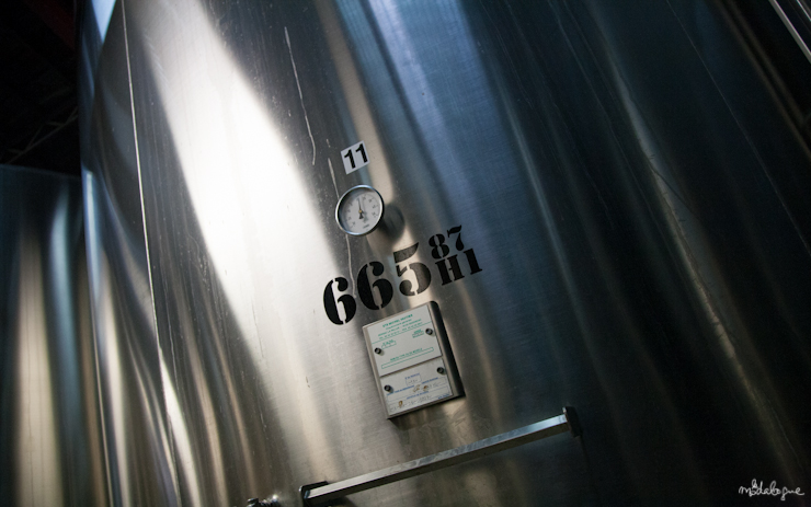 remy-martin-cognac-8