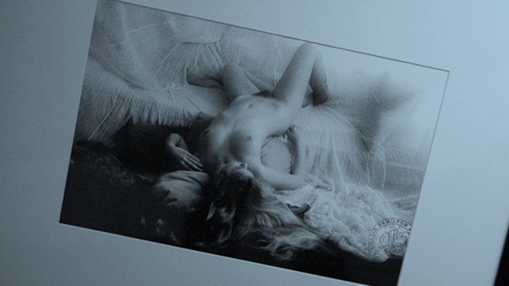 Rediscovering M. David Hamilton