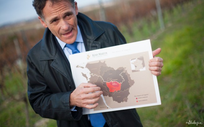 remy-martin-cognac-1