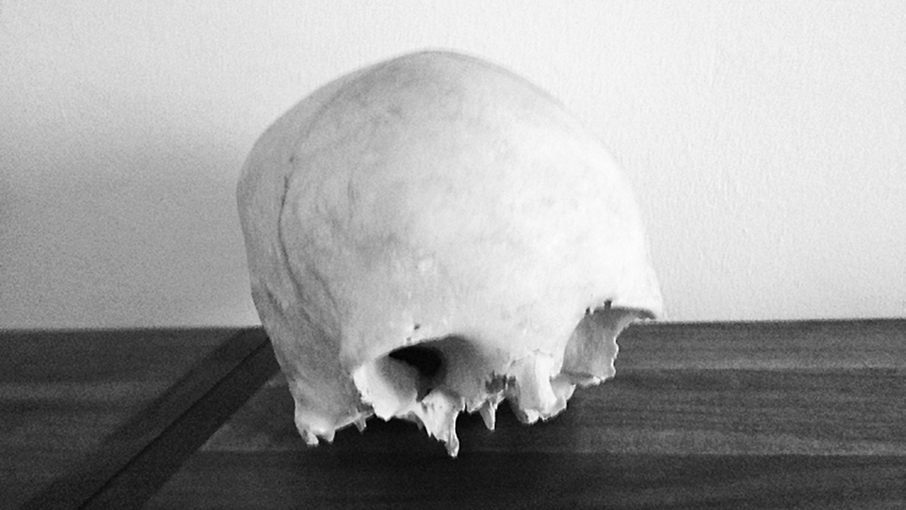skull