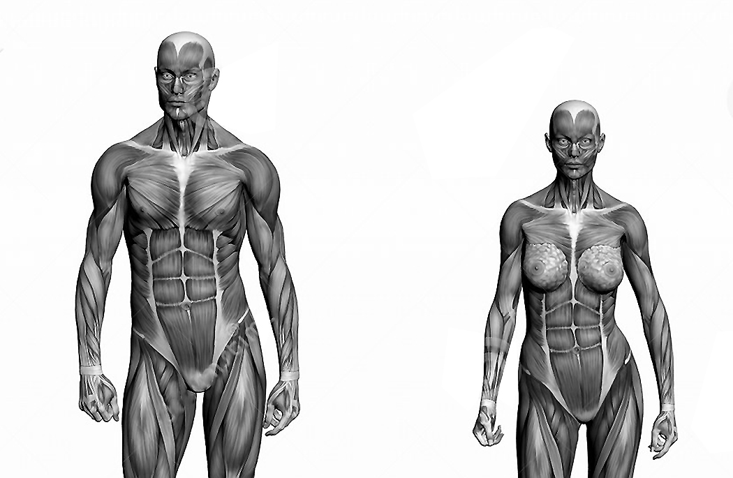 tsolo-munkh-aw-2014-ecorche