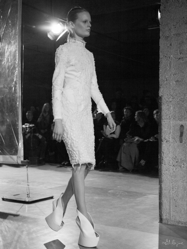 iris-van-herpen-aw2014-18