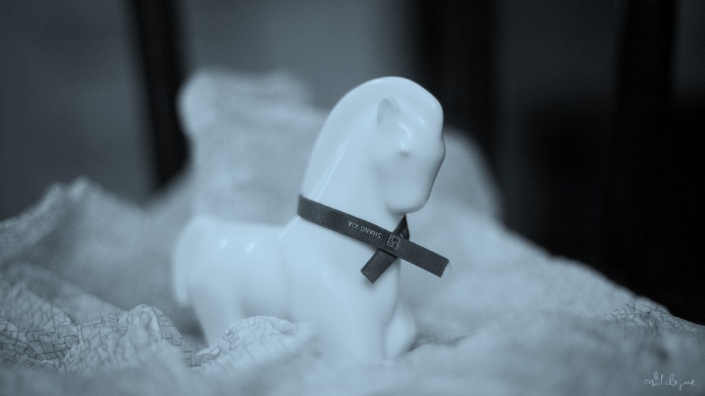 Precious moments | Jiang Qiong Er, Shang Xia