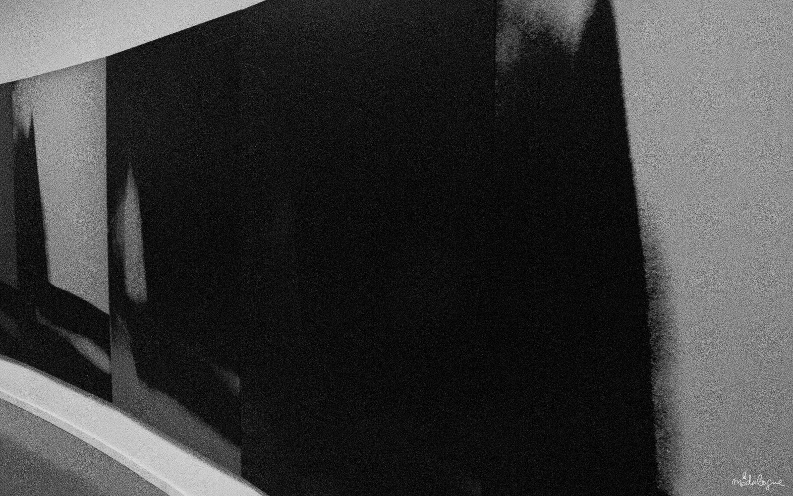 Warhol, Shadows