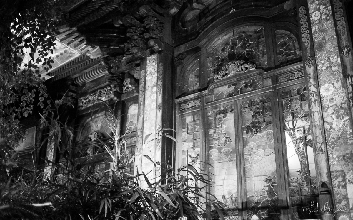 coco-de-mer-rankin-18