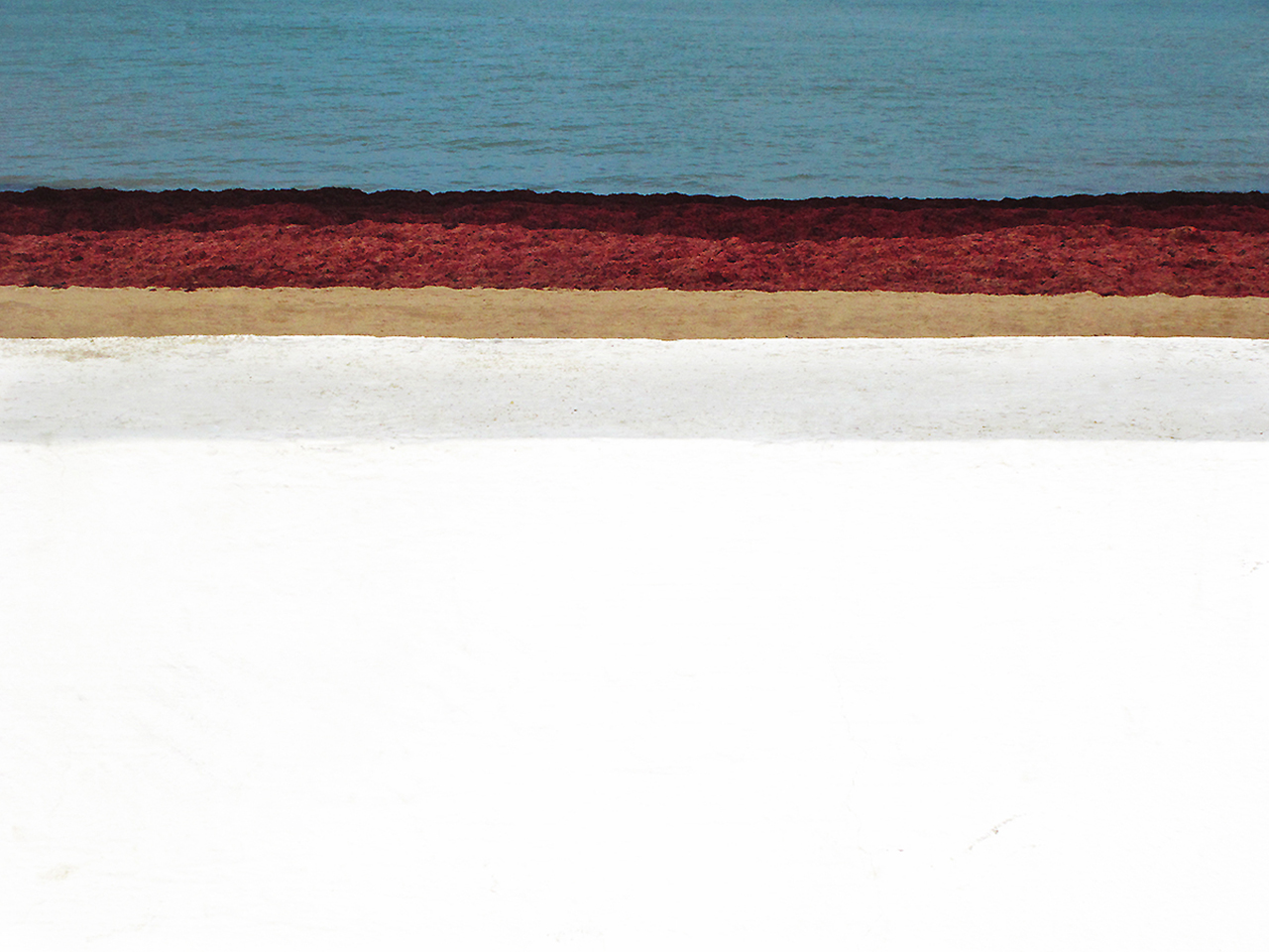 sarah-le-guern-mur-mer-10