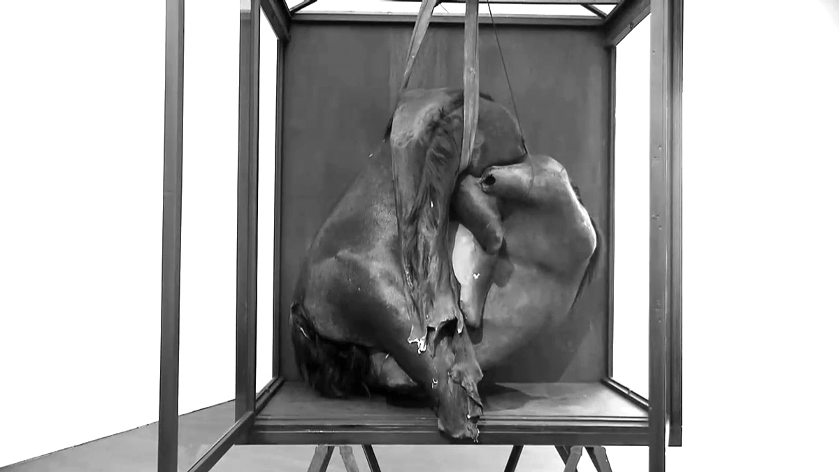 berlinde-bruyckere-4