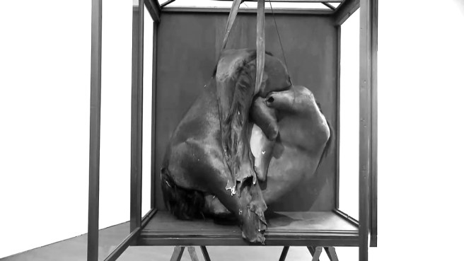 berlinde-bruyckere-4