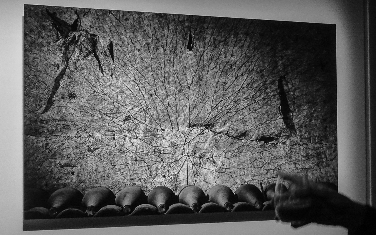 erwin-olaf-ruinart-1