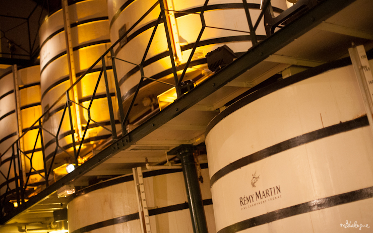 remy-martin-cognac-26