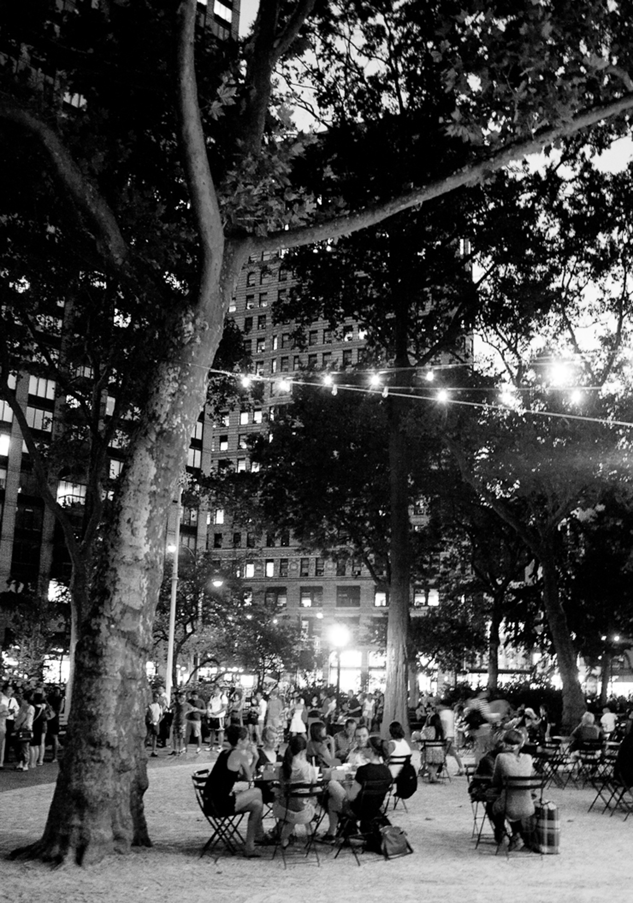 new-york-shake-shack