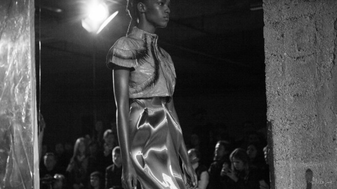 iris-van-herpen-aw2014-10