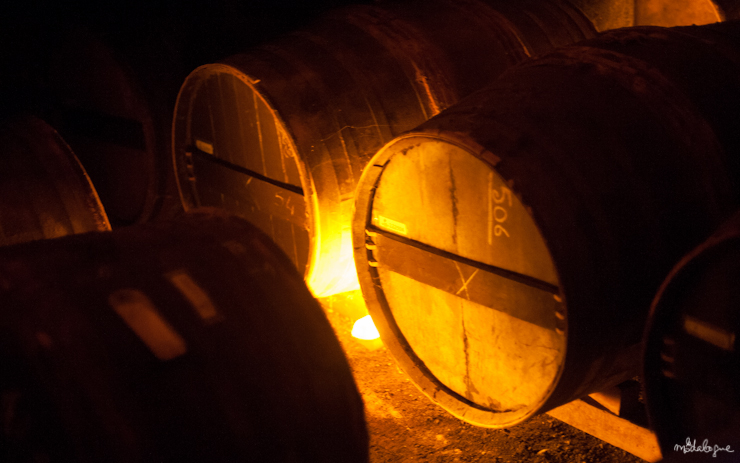 remy-martin-cognac-39