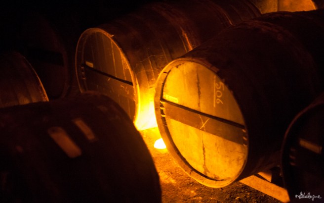 remy-martin-cognac-39