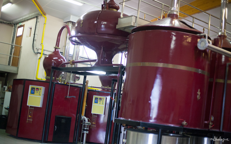 remy-martin-cognac-9