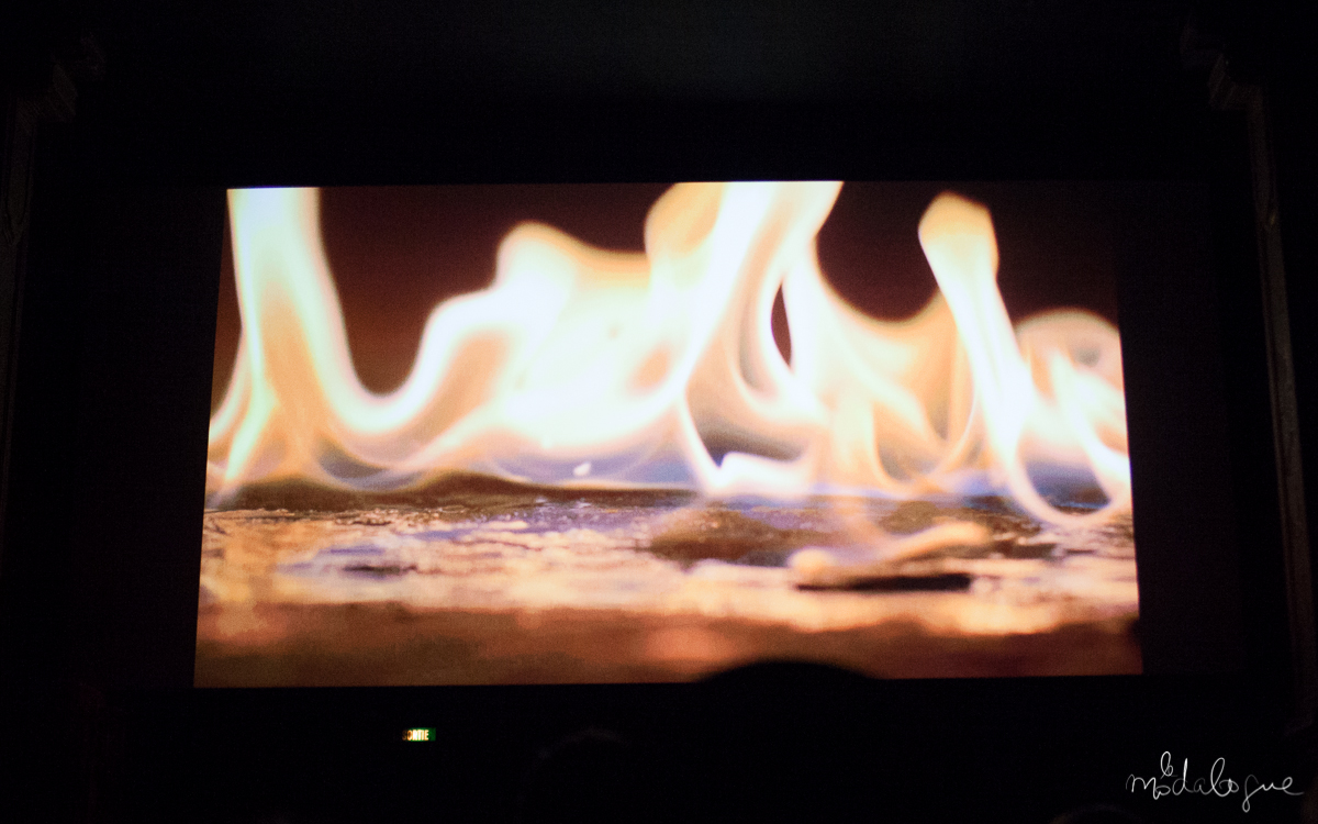 coco-de-mer-rankin-4