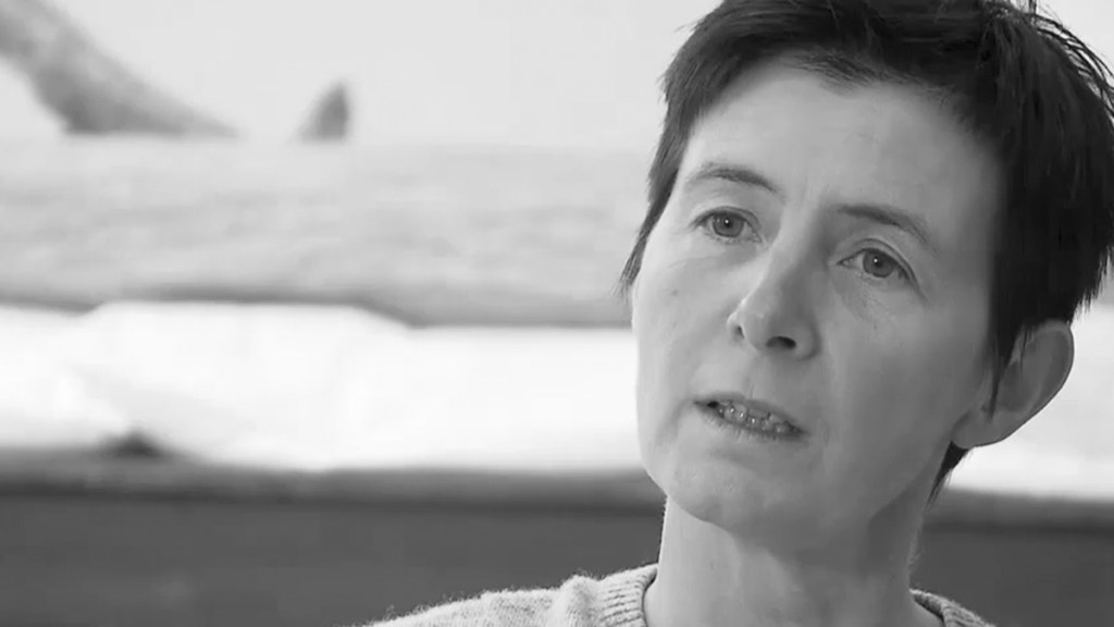 Discover | Berlinde de Bruyckere