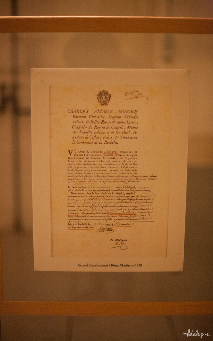 remy-martin-cognac-28