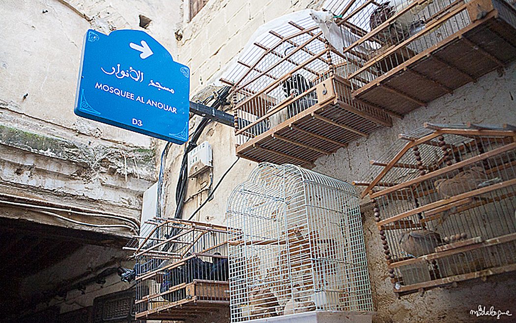 road-trip-factory-fez-46