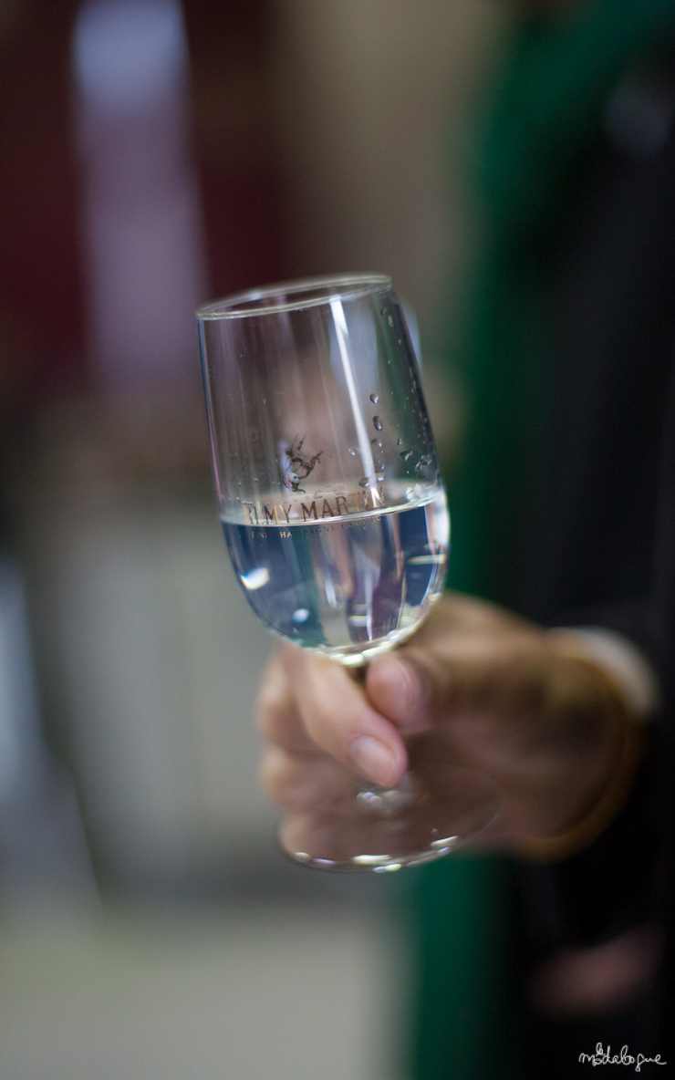 remy-martin-cognac-17