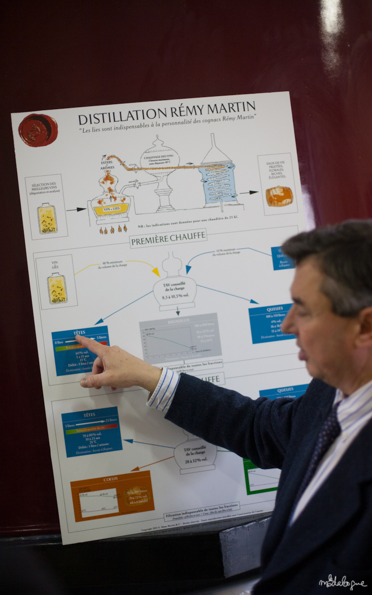 remy-martin-cognac-11