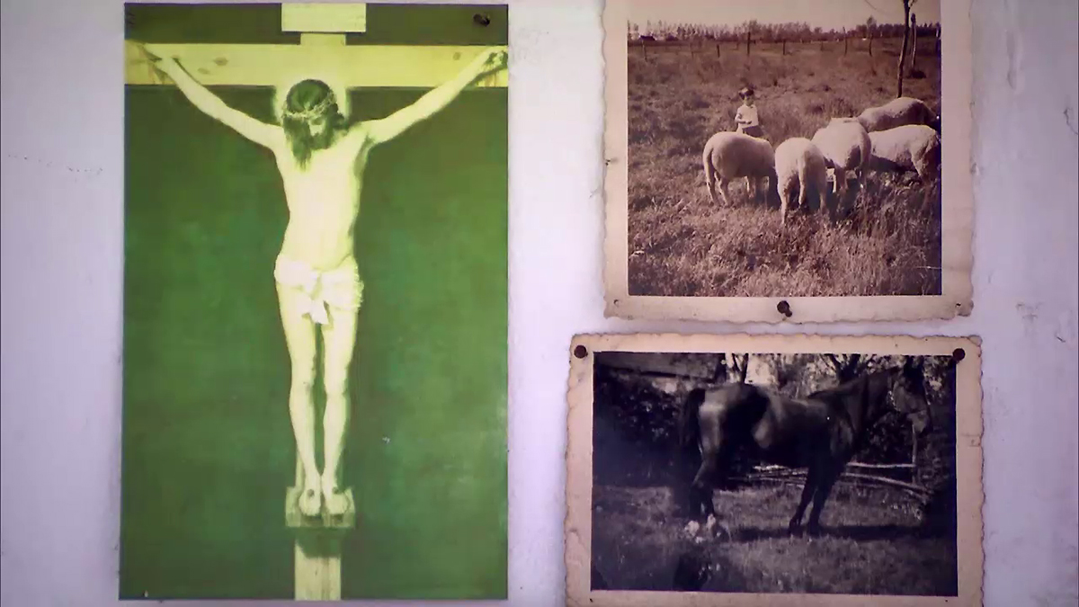 berlinde-bruyckere-2