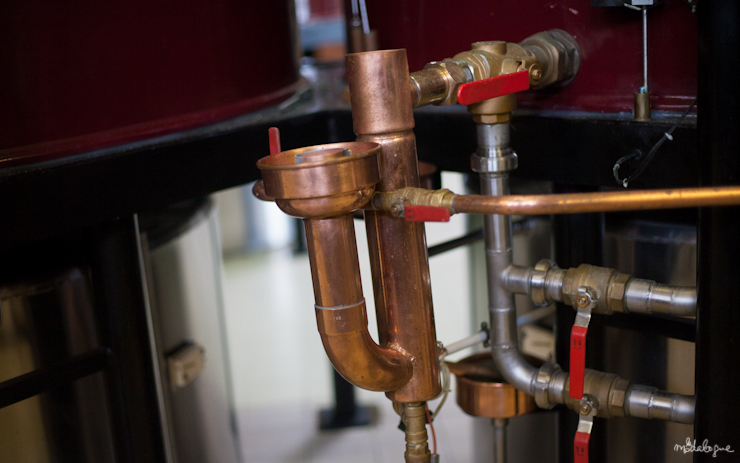 remy-martin-cognac-12