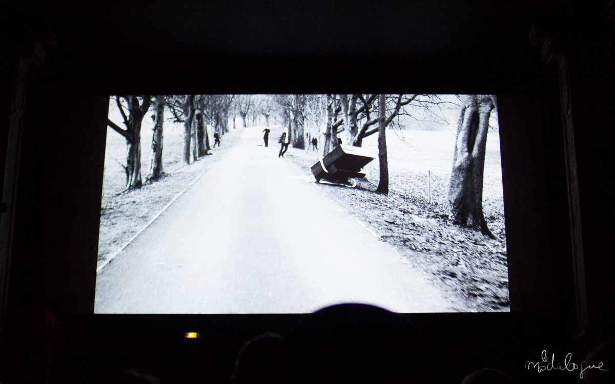 coco-de-mer-rankin-7