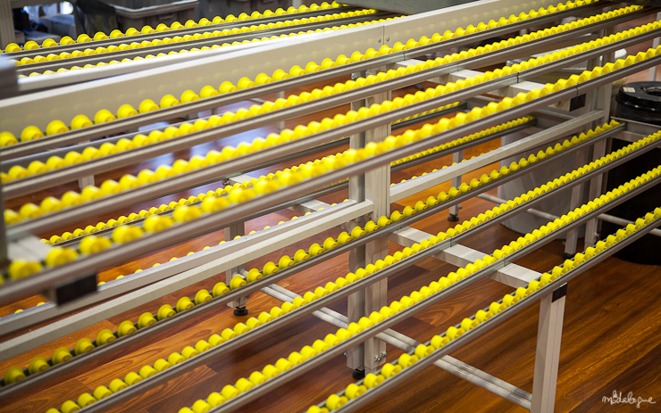 louis-vuitton-venise-manufacture-43