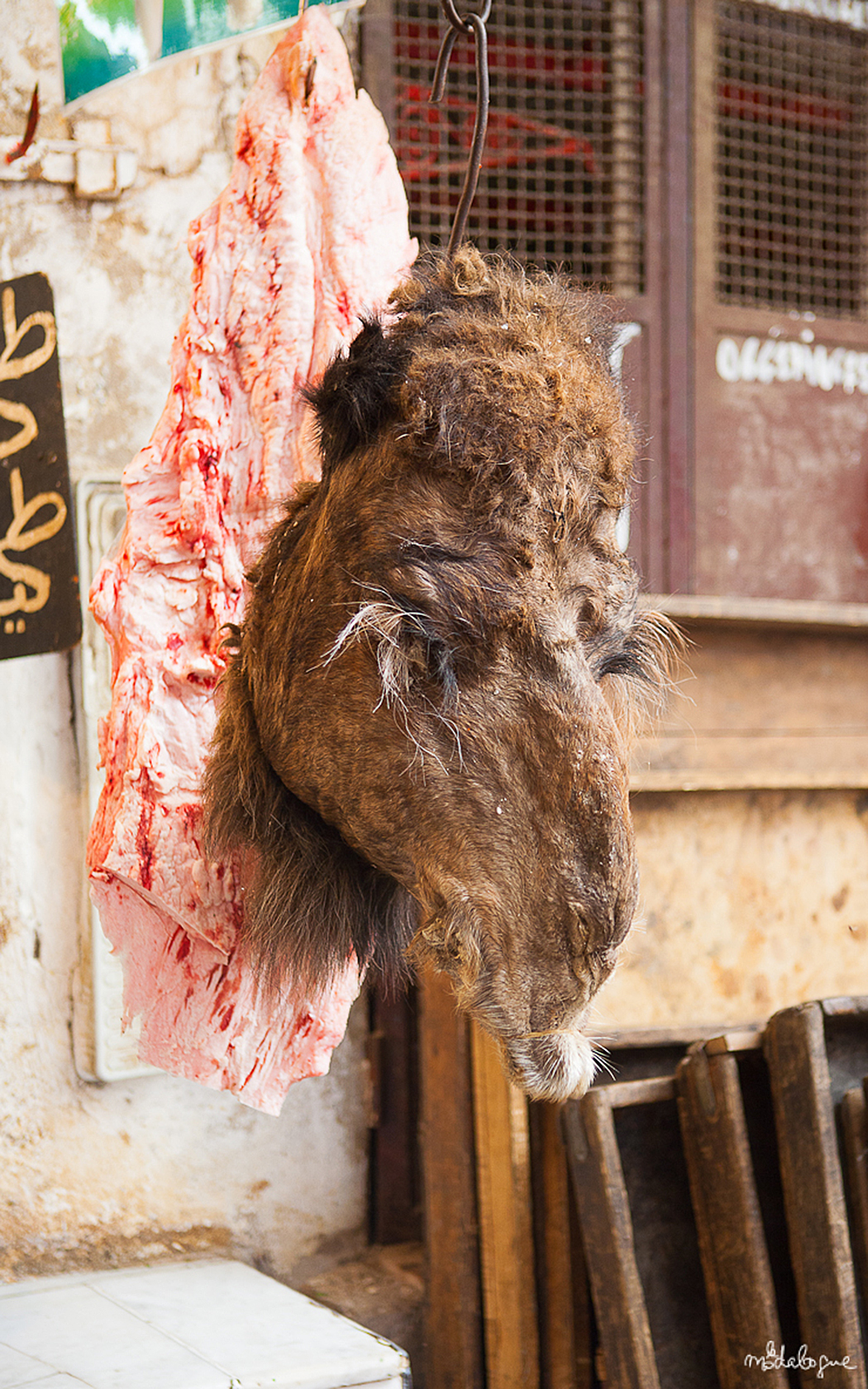 road-trip-factory-fez-22