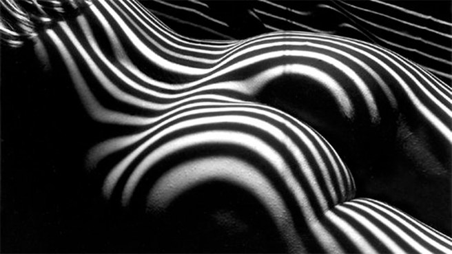 lucien-clergue-nude-zebra-1