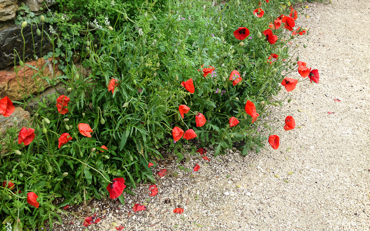 festival-hyeres-2013-16