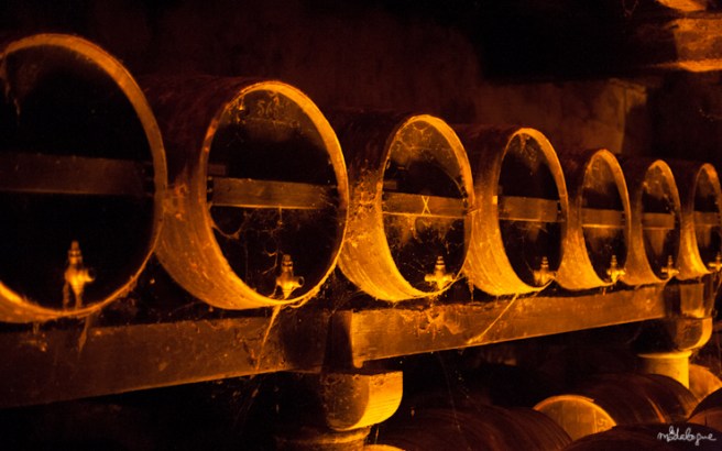 remy-martin-cognac-40