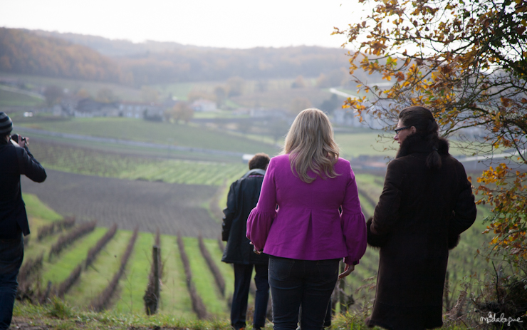 remy-martin-cognac-3