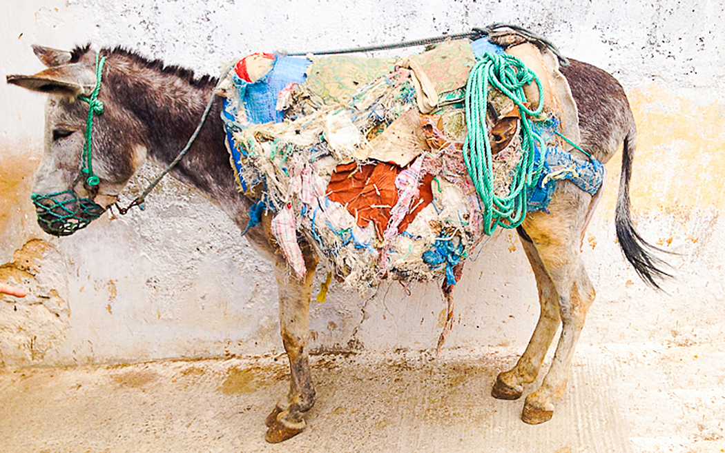 road-trip-factory-fez-34