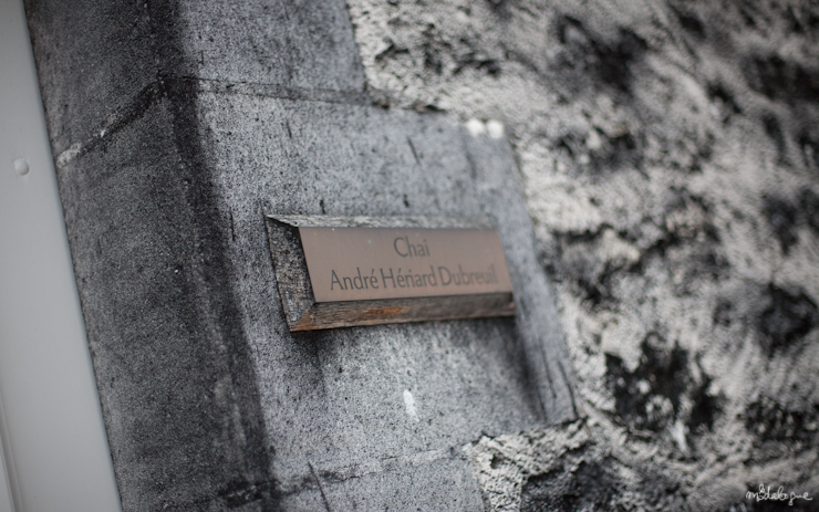 remy-martin-cognac-21