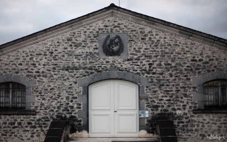 remy-martin-cognac-22