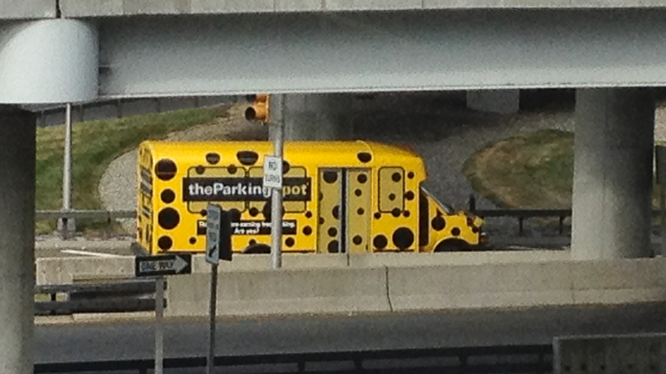 dots-everywhere-16 dots-everywhere-16