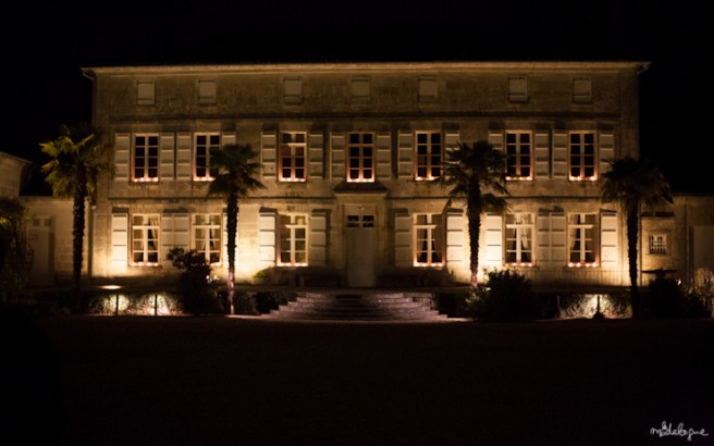 remy-martin-cognac-36