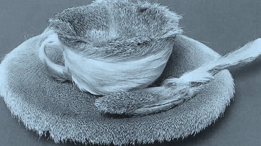 L&rsquo;art en fusion