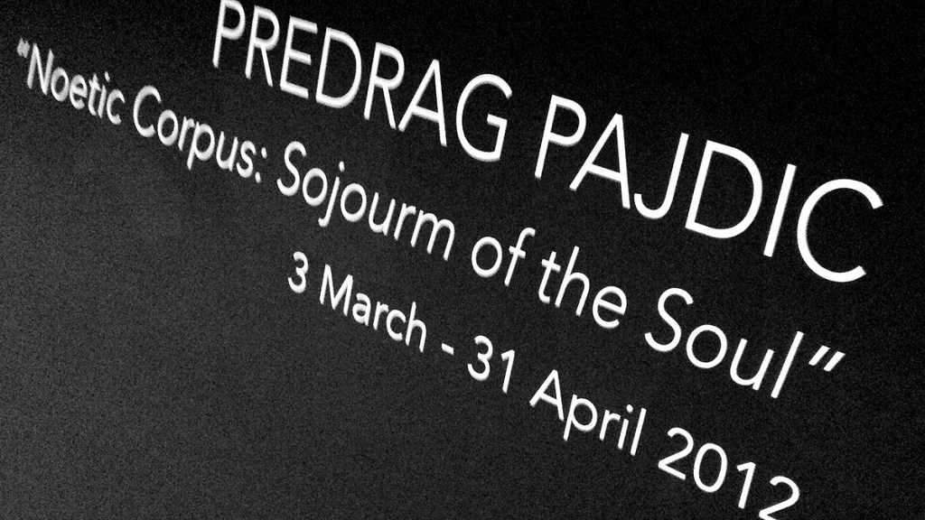 Predrag Pajdic at Wrong Weather&nbsp;gallery