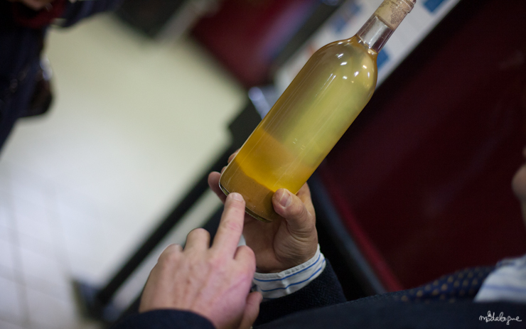 remy-martin-cognac-15