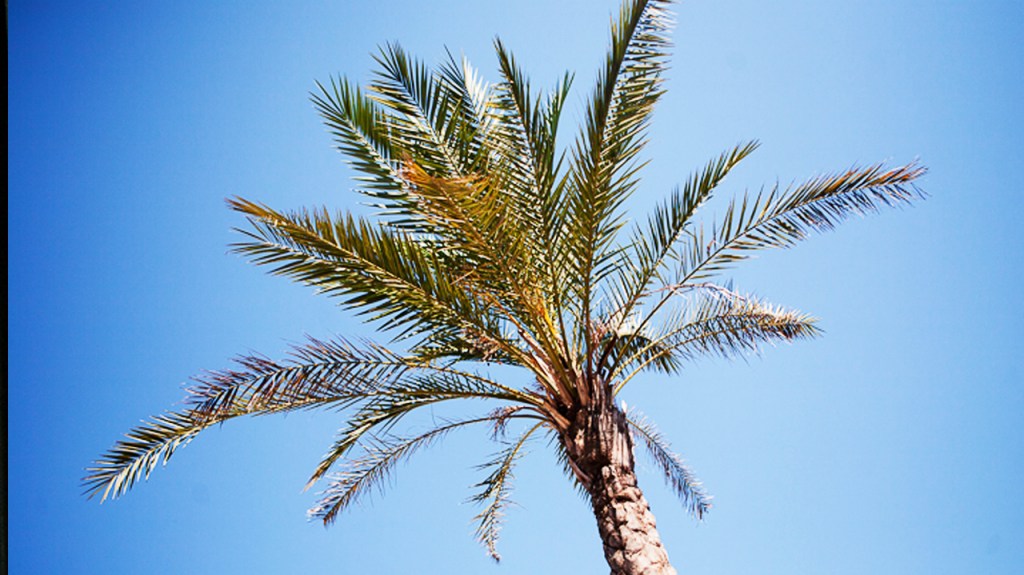 Home sweet home, going south, Provence, eastern France